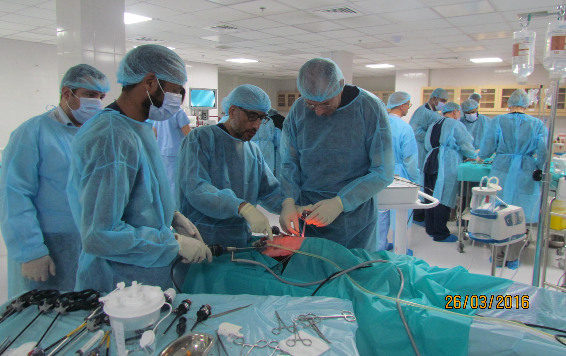 The First Hands-On Course in Neonatal & Paediatric Endoscopy Surgery